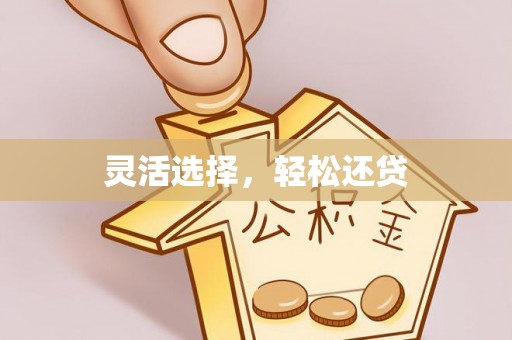 那玛夏灵活选择，轻松还贷
