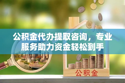 那玛夏公积金代办提取咨询，专业服务助力资金轻松到手