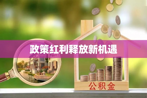 那玛夏政策红利释放新机遇