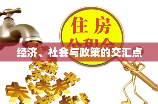 那玛夏经济、社会与政策的交汇点