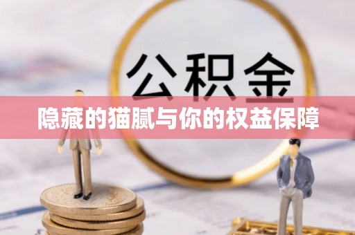 那玛夏隐藏的猫腻与你的权益保障