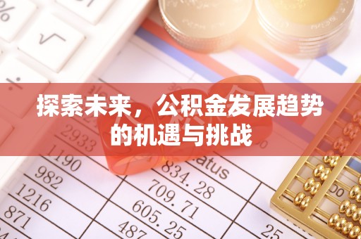 那玛夏探索未来，公积金发展趋势的机遇与挑战