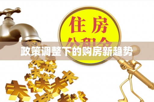 那玛夏政策调整下的购房新趋势