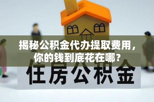 那玛夏揭秘公积金代办提取费用，你的钱到底花在哪？
