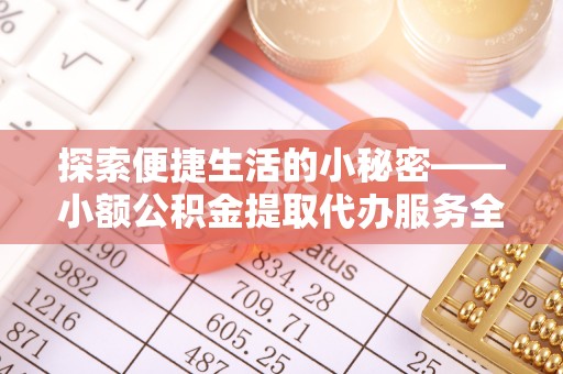 那玛夏探索便捷生活的小秘密——小额公积金提取代办服务全解析