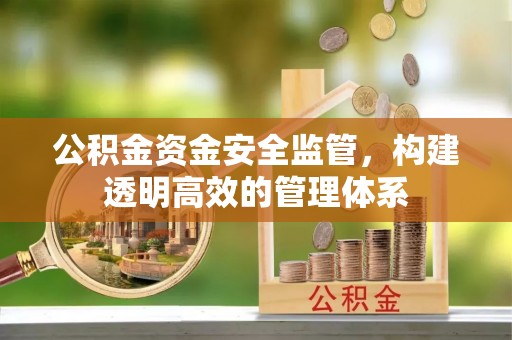 那玛夏公积金资金安全监管，构建透明高效的管理体系
