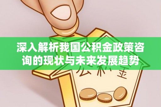 那玛夏深入解析我国公积金政策咨询的现状与未来发展趋势