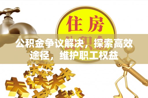 那玛夏公积金争议解决，探索高效途径，维护职工权益