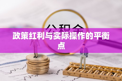 那玛夏政策红利与实际操作的平衡点