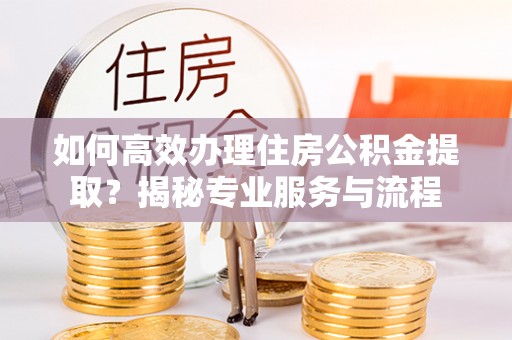 那玛夏如何高效办理住房公积金提取？揭秘专业服务与流程