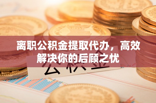 那玛夏离职公积金提取代办，高效解决你的后顾之忧