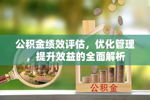 那玛夏公积金绩效评估，优化管理，提升效益的全面解析