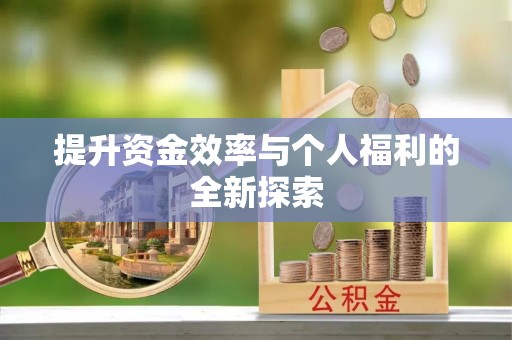那玛夏提升资金效率与个人福利的全新探索