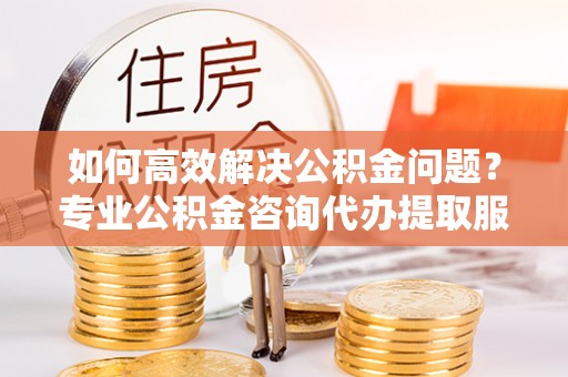 那玛夏如何高效解决公积金问题？专业公积金咨询代办提取服务来帮你