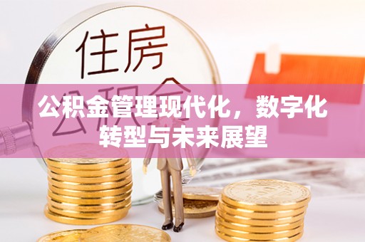 那玛夏公积金管理现代化，数字化转型与未来展望