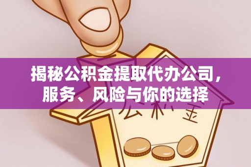 那玛夏揭秘公积金提取代办公司，服务、风险与你的选择