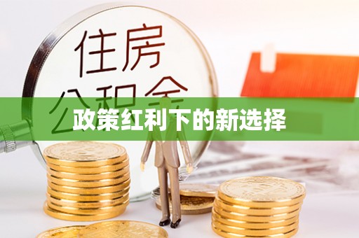 那玛夏政策红利下的新选择