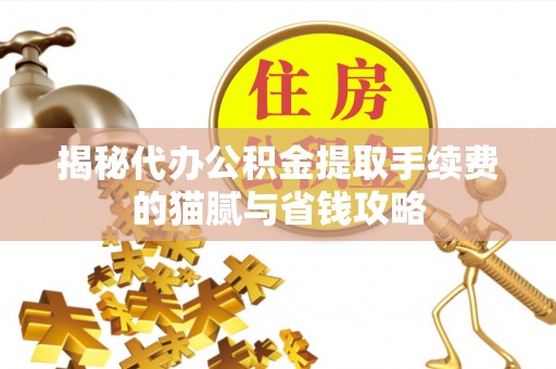 那玛夏揭秘代办公积金提取手续费的猫腻与省钱攻略