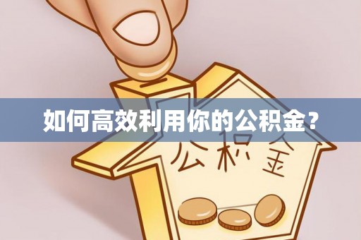那玛夏如何高效利用你的公积金？
