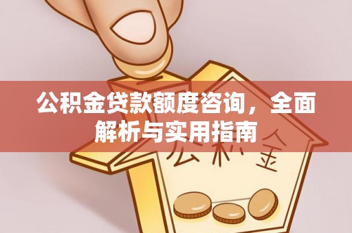 那玛夏公积金贷款额度咨询，全面解析与实用指南