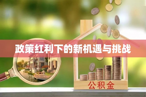那玛夏政策红利下的新机遇与挑战