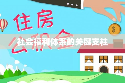 那玛夏社会福利体系的关键支柱