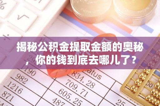 那玛夏揭秘公积金提取金额的奥秘，你的钱到底去哪儿了？