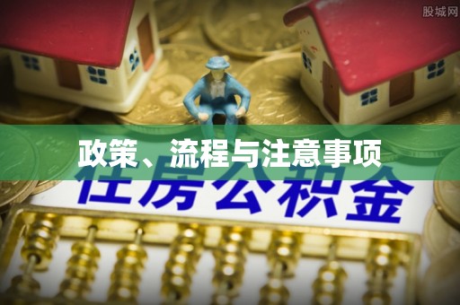 那玛夏政策、流程与注意事项