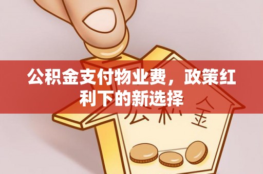 那玛夏公积金支付物业费，政策红利下的新选择