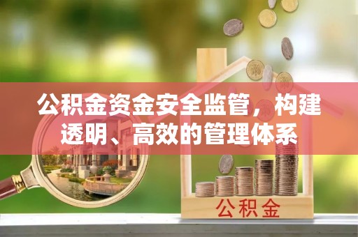 那玛夏公积金资金安全监管，构建透明、高效的管理体系