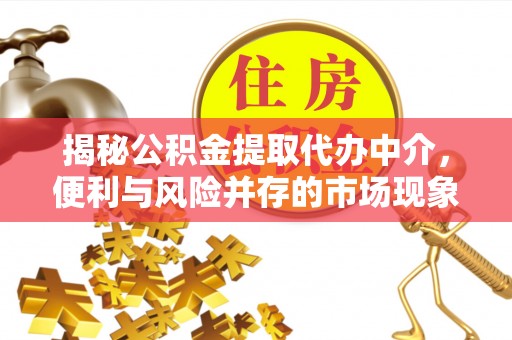 那玛夏揭秘公积金提取代办中介，便利与风险并存的市场现象
