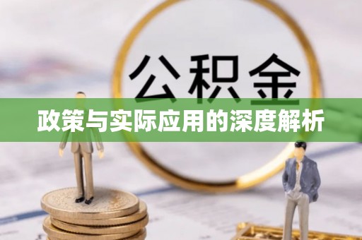 那玛夏政策与实际应用的深度解析