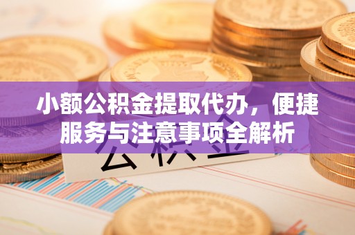 那玛夏小额公积金提取代办，便捷服务与注意事项全解析