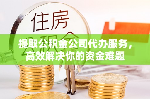 那玛夏提取公积金公司代办服务，高效解决你的资金难题