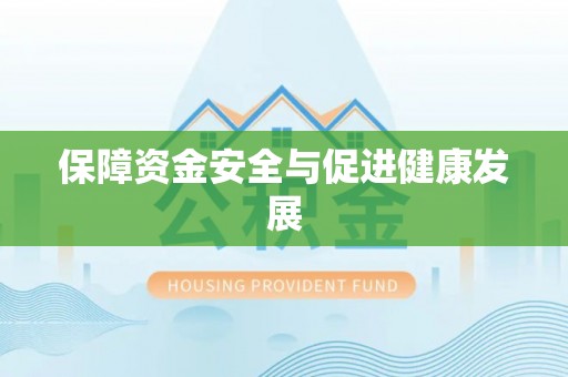 那玛夏保障资金安全与促进健康发展
