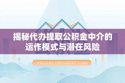 那玛夏揭秘代办提取公积金中介的运作模式与潜在风险