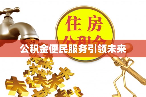 那玛夏公积金便民服务引领未来