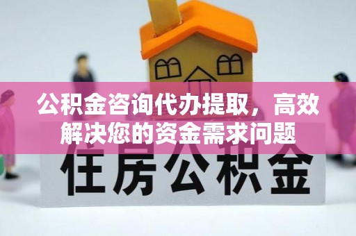 那玛夏公积金咨询代办提取，高效解决您的资金需求问题
