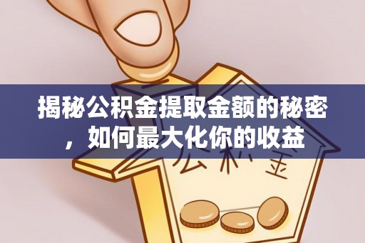 那玛夏揭秘公积金提取金额的秘密，如何最大化你的收益