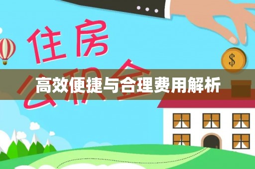 那玛夏高效便捷与合理费用解析