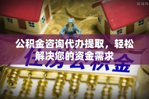 那玛夏公积金咨询代办提取，轻松解决您的资金需求