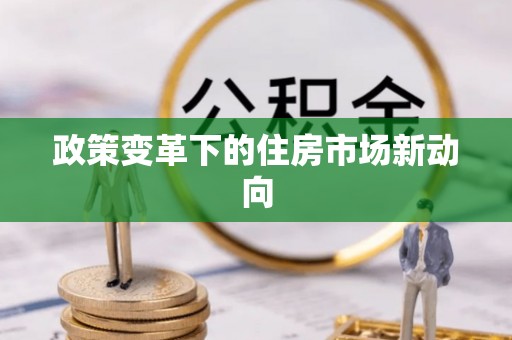 那玛夏政策变革下的住房市场新动向