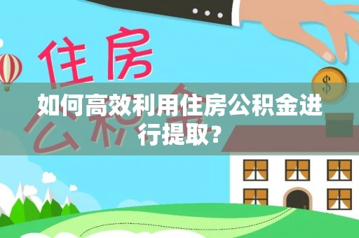 那玛夏如何高效利用住房公积金进行提取？