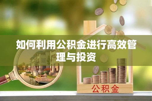 那玛夏如何利用公积金进行高效管理与投资