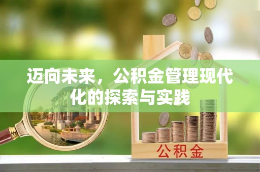 那玛夏迈向未来，公积金管理现代化的探索与实践
