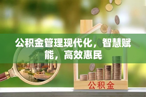 那玛夏公积金管理现代化，智慧赋能，高效惠民