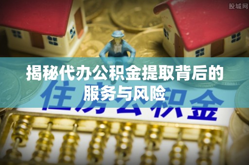 那玛夏揭秘代办公积金提取背后的服务与风险