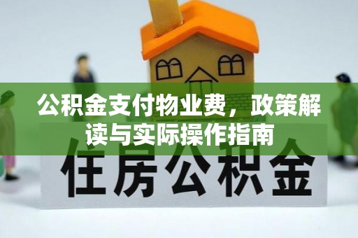 那玛夏公积金支付物业费，政策解读与实际操作指南