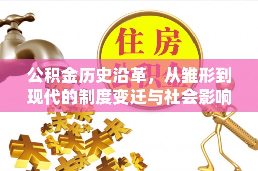 那玛夏公积金历史沿革，从雏形到现代的制度变迁与社会影响