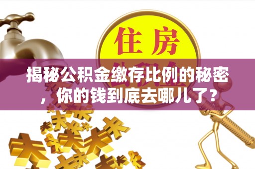 那玛夏揭秘公积金缴存比例的秘密，你的钱到底去哪儿了？